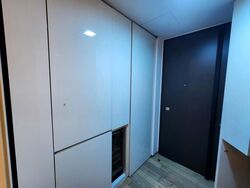 Skysuites@Anson (D2), Apartment #514761281